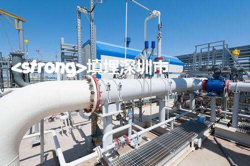 <strong>填埋深圳市危險廢物處理站有限公司化工設(shè)施安全解體：如何高效處理復(fù)雜工業(yè)遺留問題？</strong>